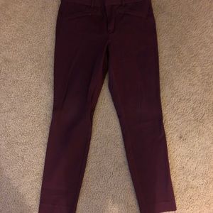 Plum colored dress pants